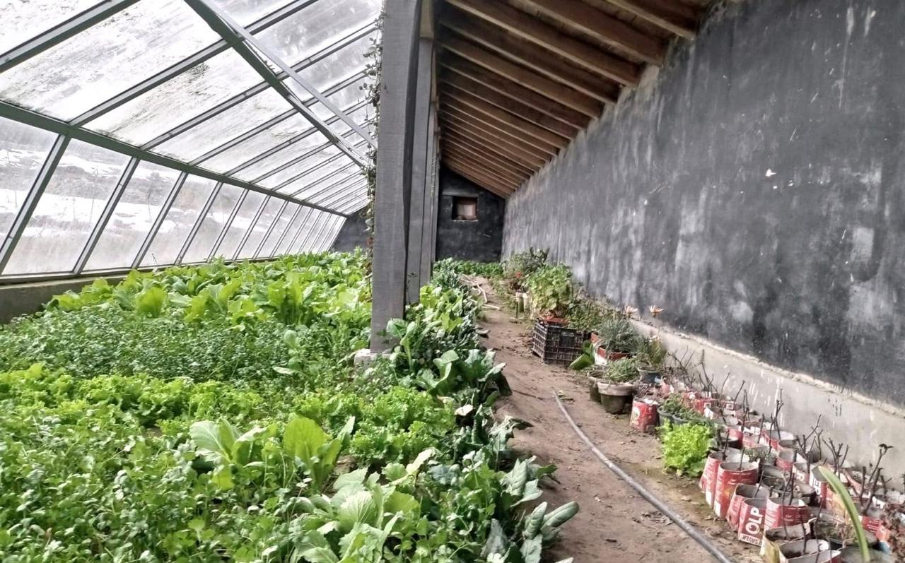 Greenhouse vegetable production - high-value agriculture, Gilgit-Baltistan
